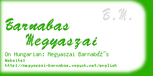 barnabas megyaszai business card